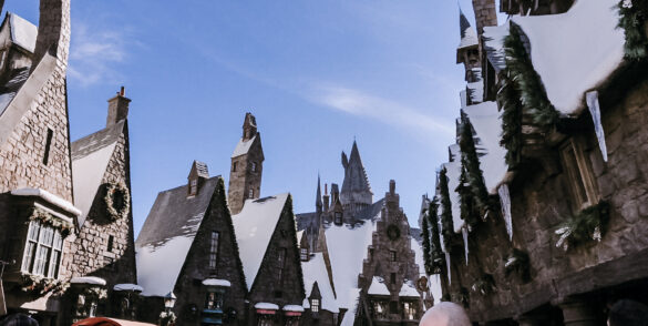 Universal Studios Hollywood VIP Tips